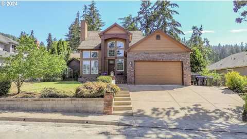 Forsythia, SPRINGFIELD, OR 97478