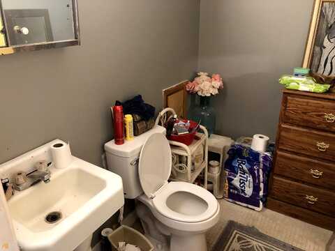 Hiawatha, METTER, GA 30439