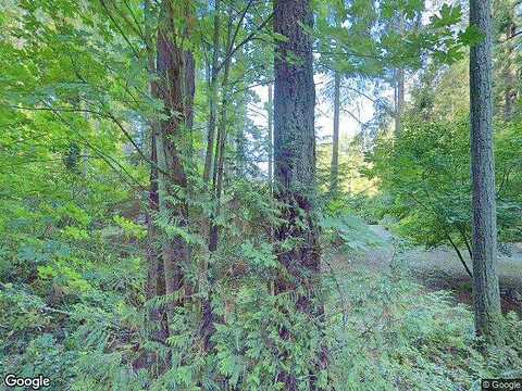 Manzanita, BAINBRIDGE ISLAND, WA 98110