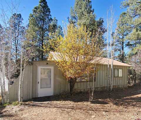 Hilltop, PAGOSA SPRINGS, CO 81147