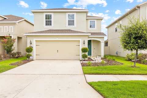 Abaco Island, RIVERVIEW, FL 33579