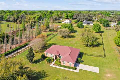 Timmons, THONOTOSASSA, FL 33592