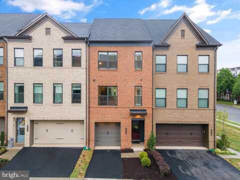 Zenith, BRAMBLETON, VA 20148