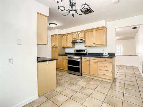 David, PALM HARBOR, FL 34684