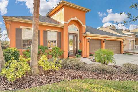 Bluff Oak, TAMPA, FL 33647