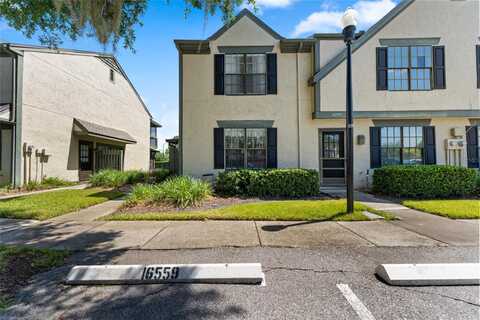 Brigadoon, TAMPA, FL 33618