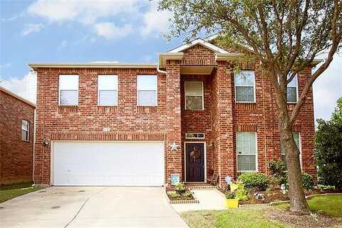 Photinia, DENTON, TX 76208