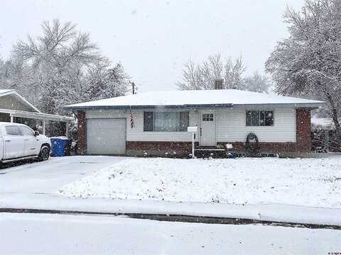 Bristol, MONTROSE, CO 81401