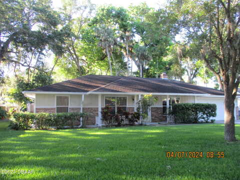 Sugar Cane, PORT ORANGE, FL 32129