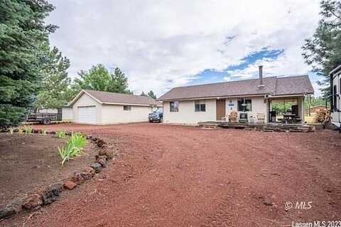 Bamboo, SUSANVILLE, CA 96130