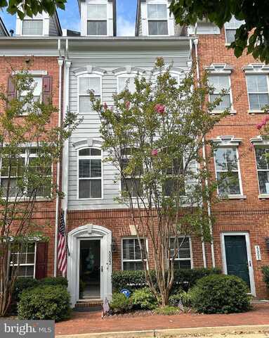 Donovan, ALEXANDRIA, VA 22304