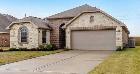 Tiger Eye, ROSHARON, TX 77583