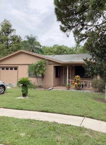 Black Jack, PORT ORANGE, FL 32128