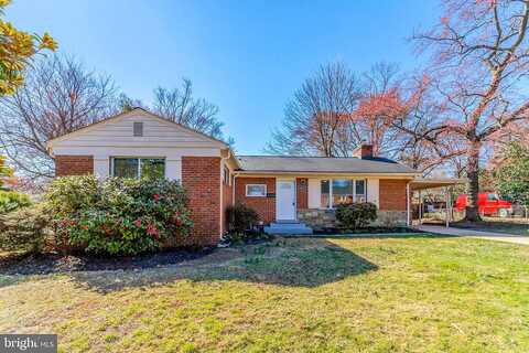 Dawn, ALEXANDRIA, VA 22306
