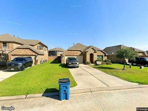 Shire Horse, PORTER, TX 77365