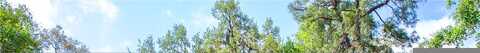 Lake, DEBARY, FL 32713