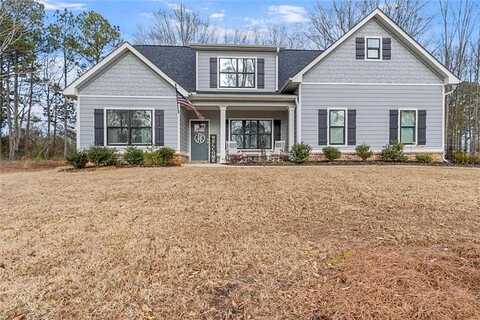 Alley, WILLIAMSON, GA 30292
