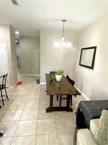 Palma Verde, APOPKA, FL 32712