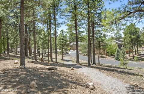 Salvestrin, FLAGSTAFF, AZ 86005