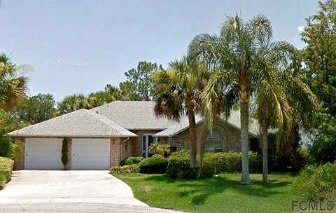 Comet, PALM COAST, FL 32137