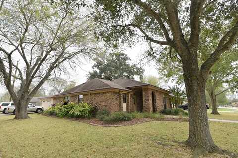 Daffodil, LAKE JACKSON, TX 77566