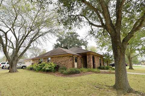 Daffodil, LAKE JACKSON, TX 77566