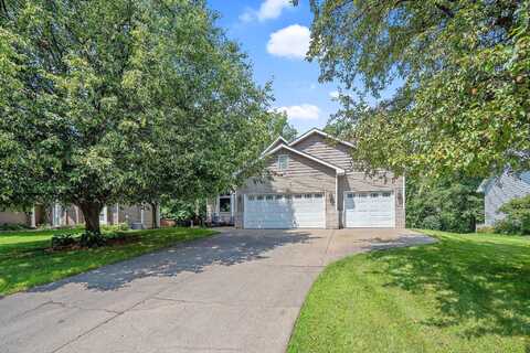 Red Birch, CIRCLE PINES, MN 55014