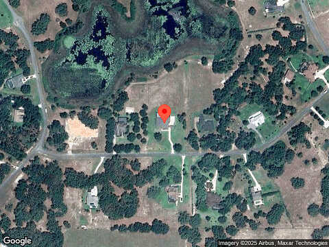 Trotting Horse, TAVARES, FL 32778