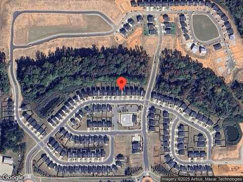 Silver Birch, NEWNAN, GA 30265