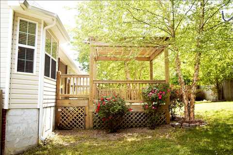 Boxwood, RINGGOLD, GA 30736