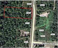 Southern Lily, YULEE, FL 32097