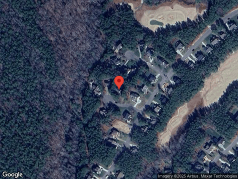 Pine Needles, PROVIDENCE FORGE, VA 23140