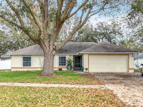 Sandy, GRAND ISLAND, FL 32735