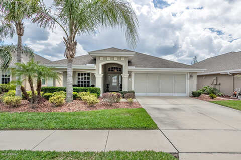 Weeping Elm, PORT ORANGE, FL 32128