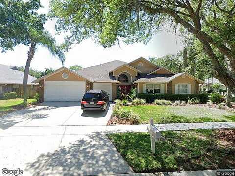 Ballantrae, TAMPA, FL 33647
