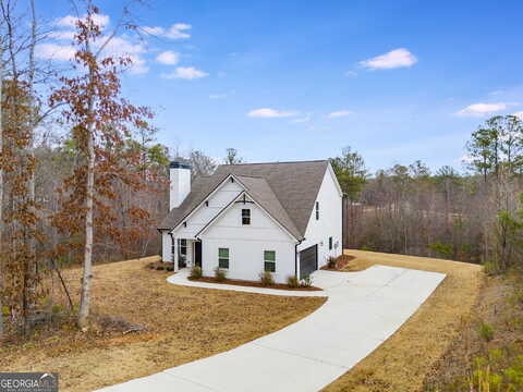 Walt Carmichael, NEWNAN, GA 30263