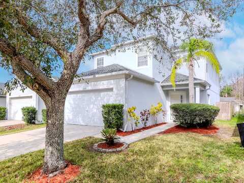 Terrawood, LAND O LAKES, FL 34639
