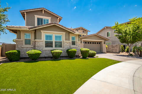 Harvest, LITCHFIELD PARK, AZ 85340