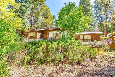 Pine, BEULAH, CO 81023