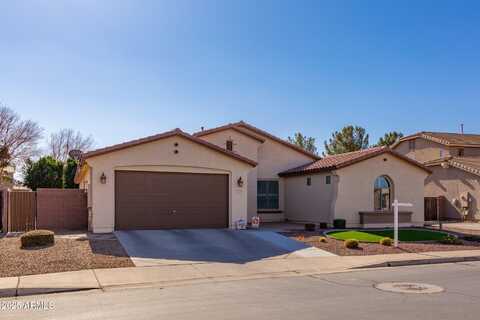 Basswood, SAN TAN VALLEY, AZ 85140