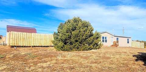 Choctaw, WALSENBURG, CO 81089