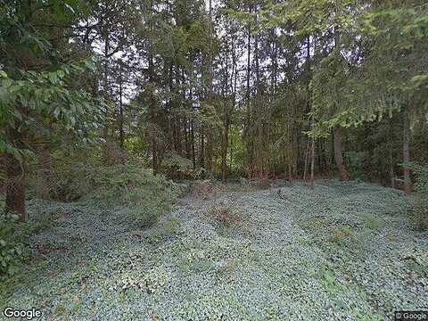 Vine Maple, LACEY, WA 98503