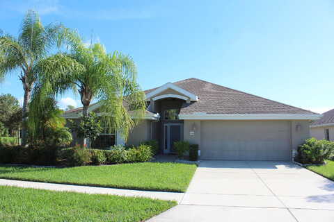 Canna, PORT ORANGE, FL 32128