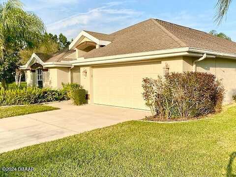 Canna, PORT ORANGE, FL 32128