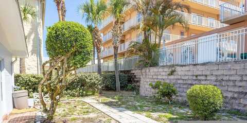 Cardinal, DAYTONA BEACH, FL 32118