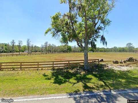 Algerine, WESLEY CHAPEL, FL 33544