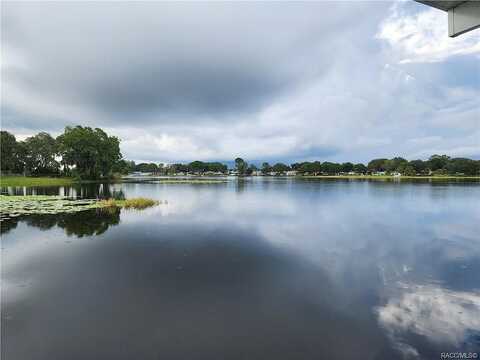 Flying Arrow, HERNANDO, FL 34442