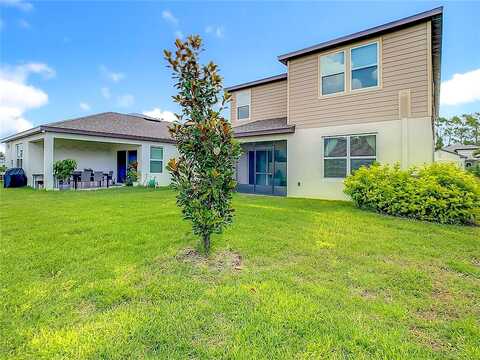 Marquette, WESLEY CHAPEL, FL 33545