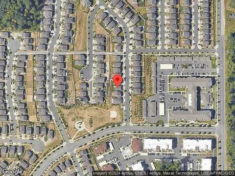 Cassius, LACEY, WA 98516