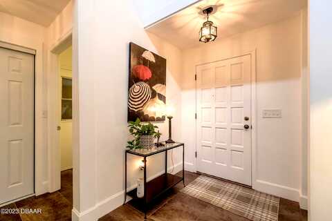 Gull, DAYTONA BEACH, FL 32119